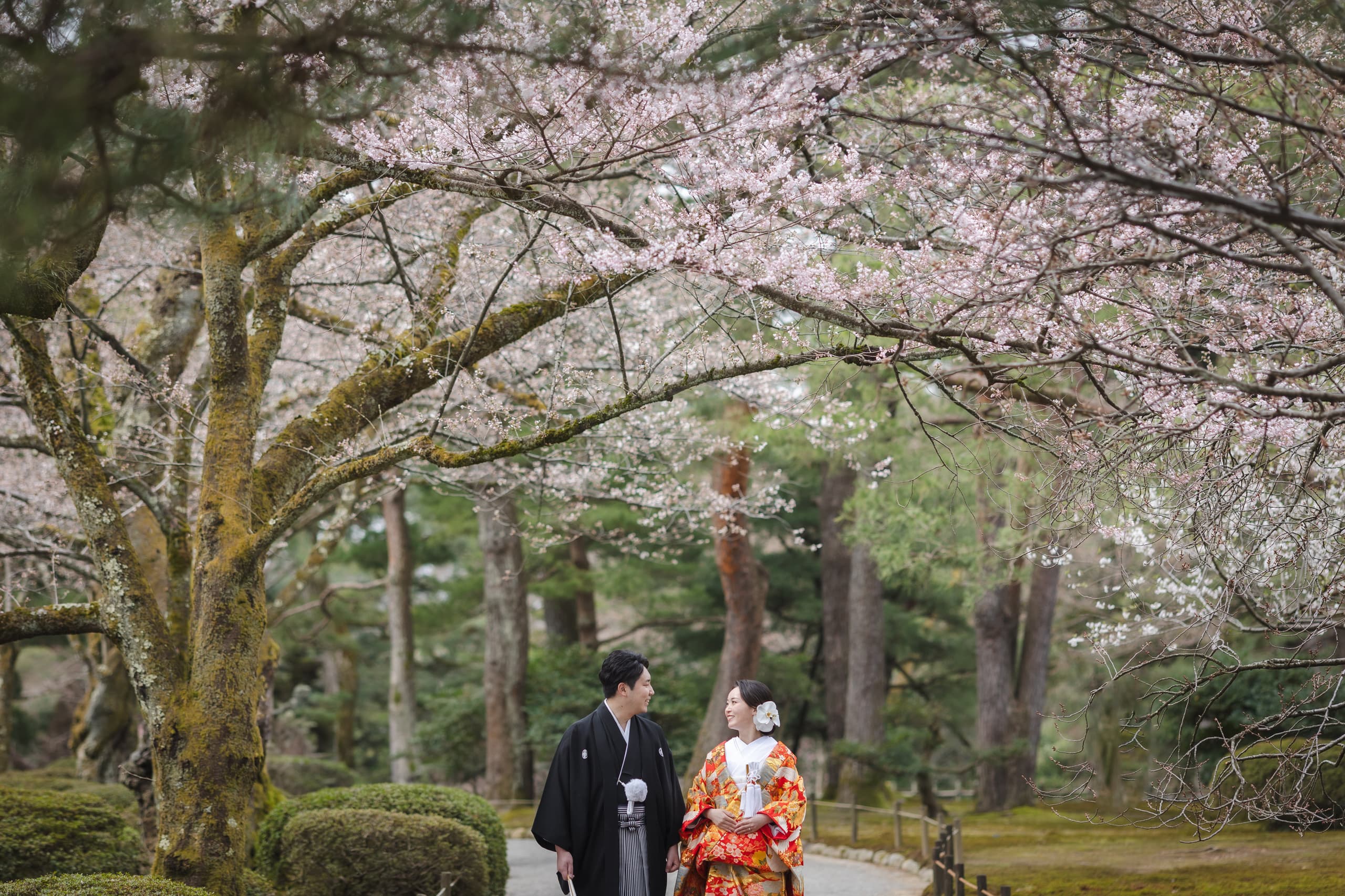 桜の兼六園で和装前撮り