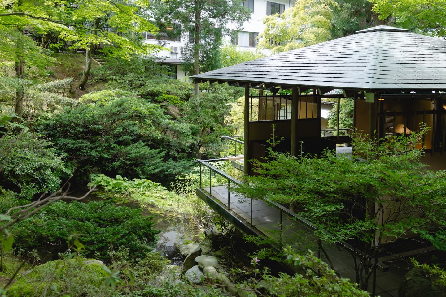 山代温泉 森の栖で森に包まれる結婚式